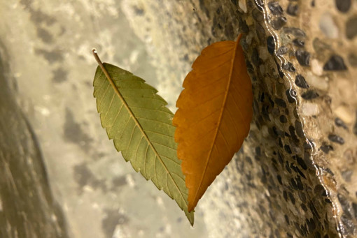 自我相談室-2022222明白自我才能瞭解關係，適用人間所有情感。